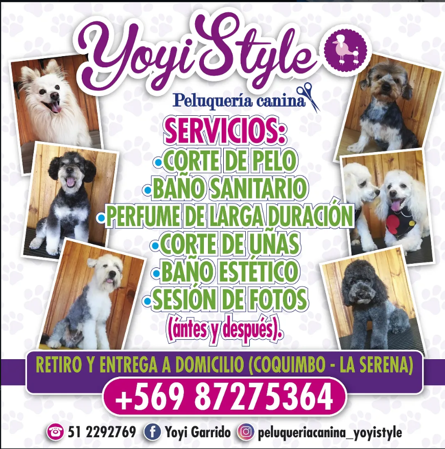 Servicios Yoyistyle
