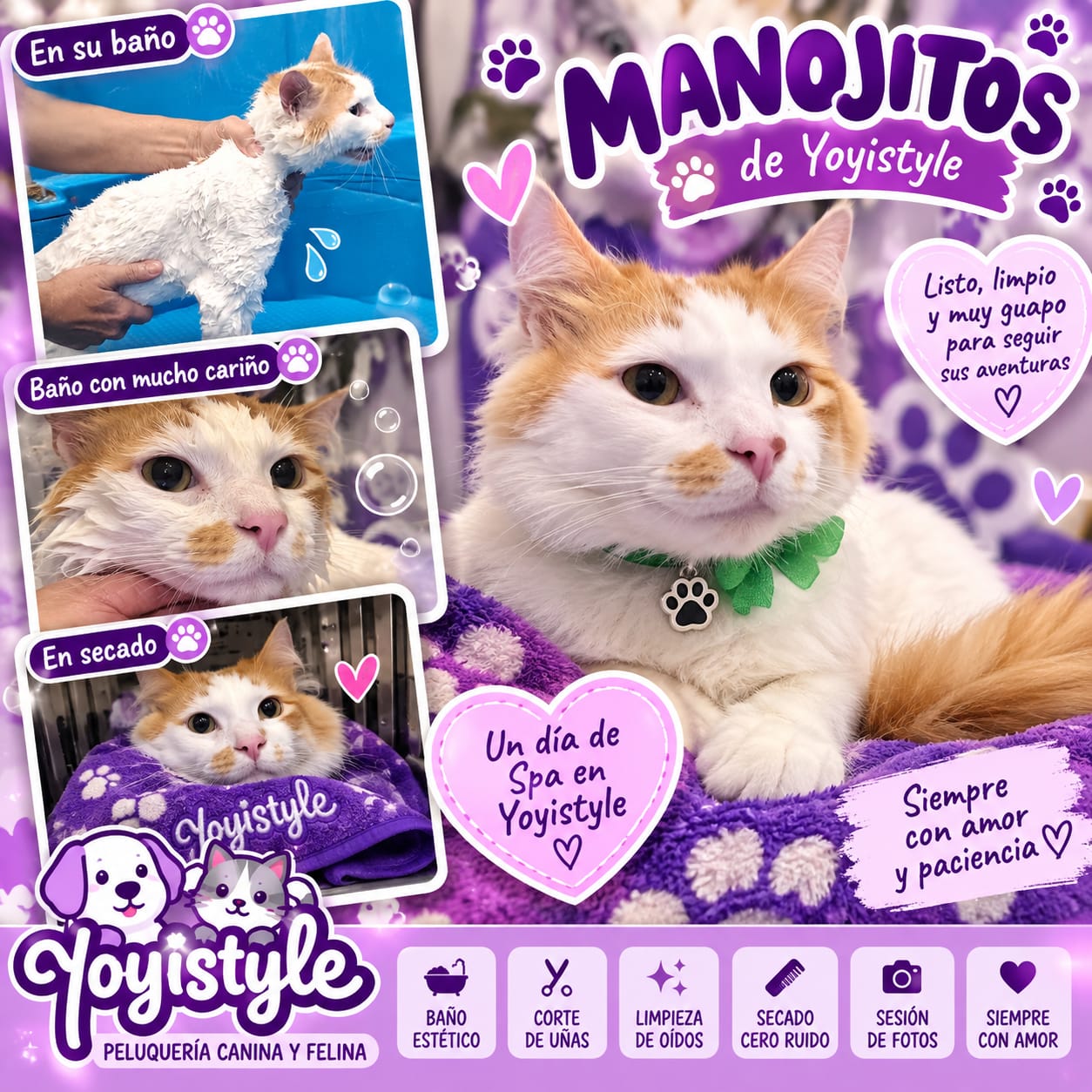 Peluquería canina Yoyistyle