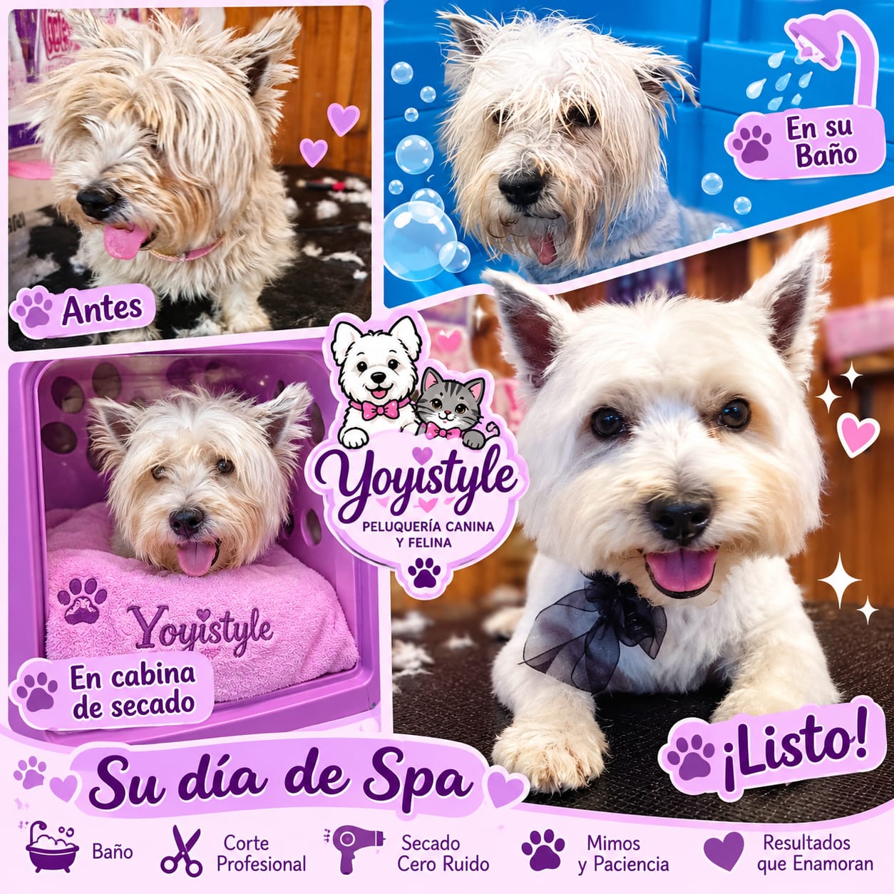 Transformación Yoyistyle